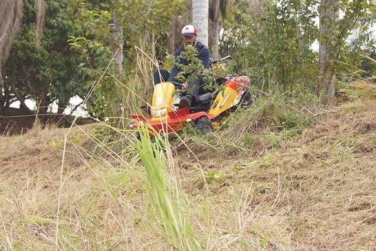 Male riding mower through shrub