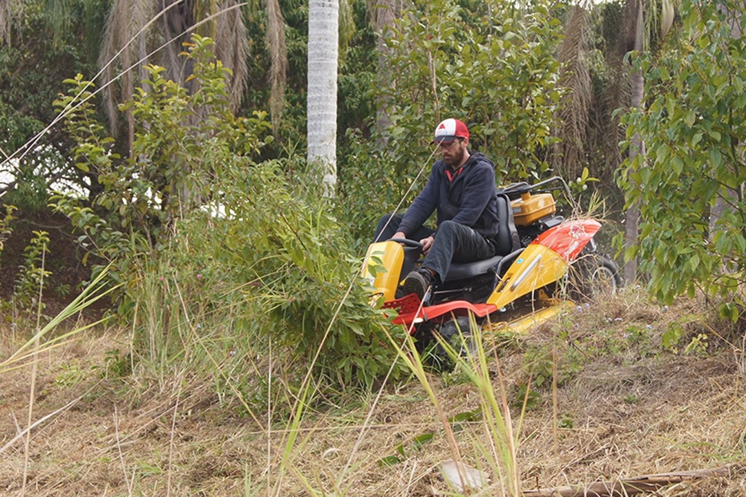 Male riding mower into shrub