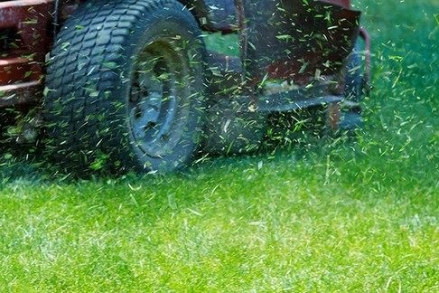 close up of ride on mower