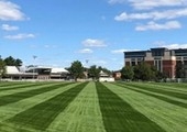 Big league lawn striping kit nz
