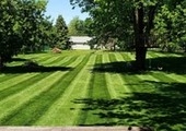 Backyard mower stripes Bobcat