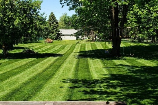 Backyard mower stripes Bobcat
